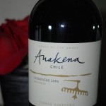 Anakena 2006 Single Vineyard Carmenere