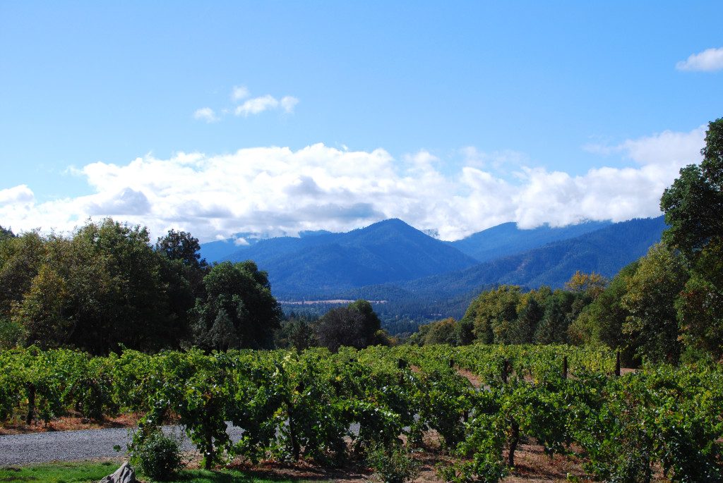 Beautiful view from Wooldridge Creek Vineyards tasting room