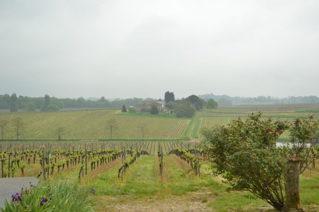 Chateau Cantin in Saint Emilion, Bordeaux