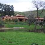 Click for a view of Chateau Felice from Tasting Room