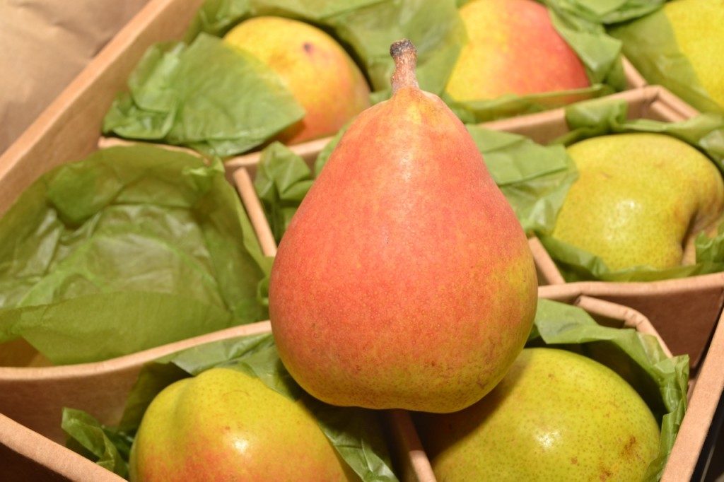 Harry and David’s Organic Royal Riviera Pears