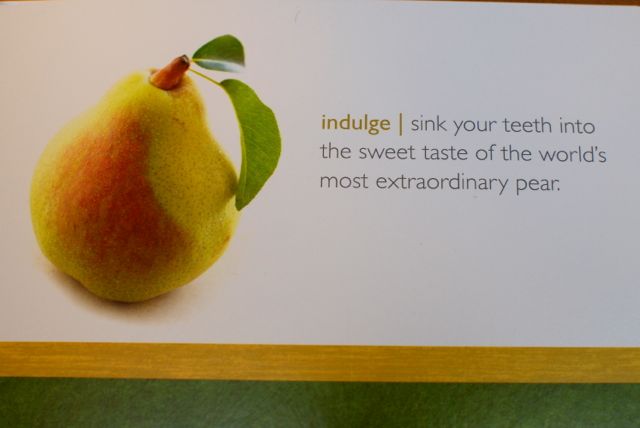 Indulge in Harry David Pears