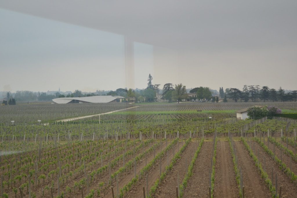 Vineyards of Chateau La Conseillante and neighbor Chateau Cheval Blanc