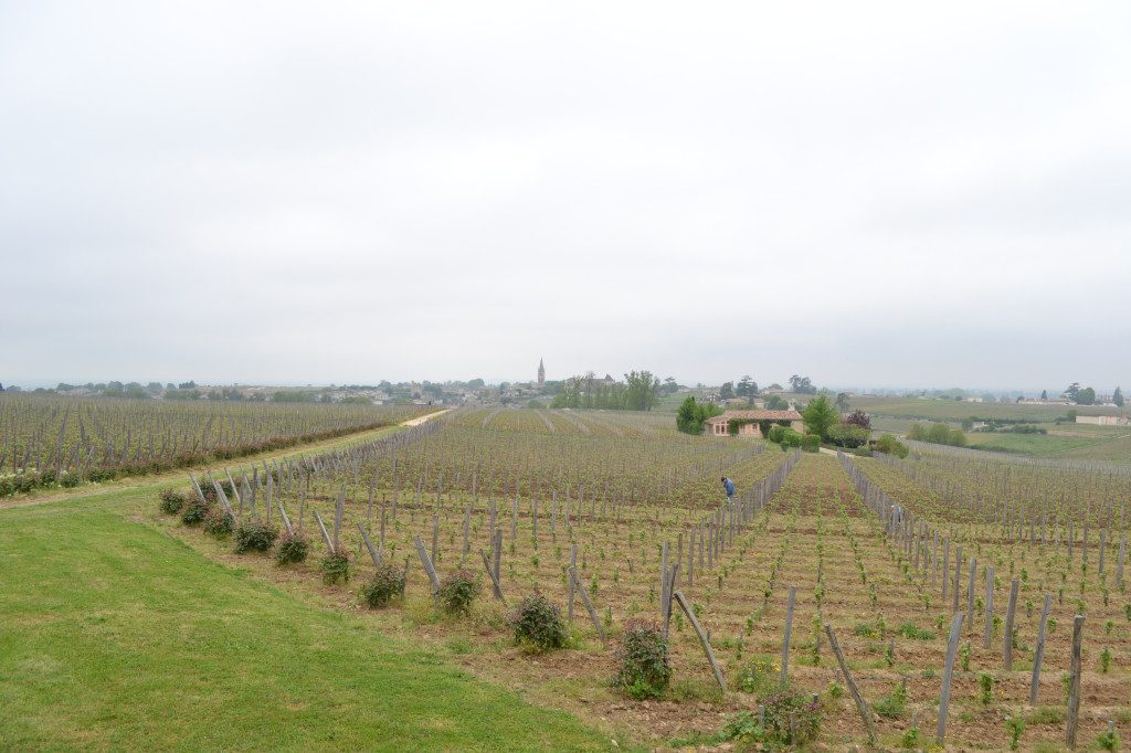 Vineyards of Troplong Mondot overlooking the village of Saint-Emilion
