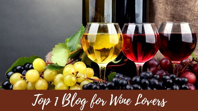Top 1 Blog for Wine Lovers